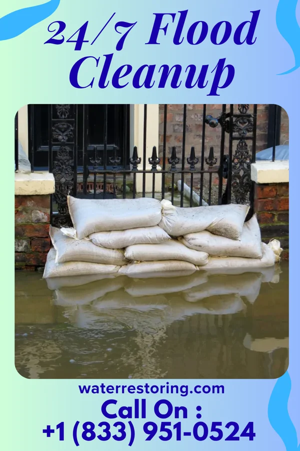 24/7 Flood Cleanup in Bynum, TX
