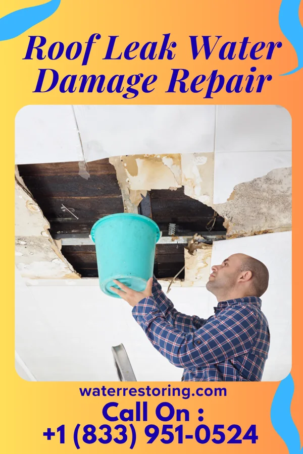 Roof Leak Water Damage Repair in Bynum, TX