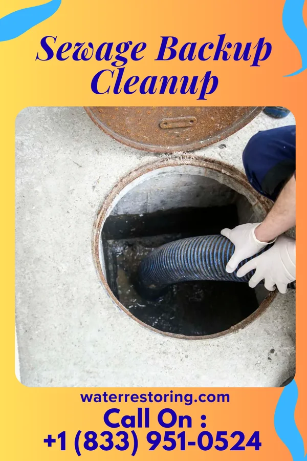 Sewage Backup Cleanup in Bynum, TX