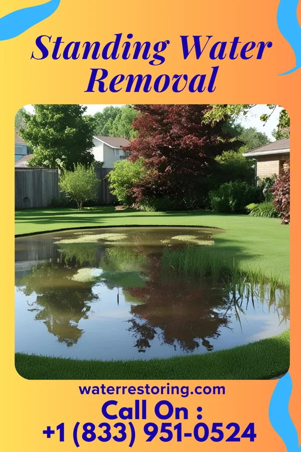 Standing Water Removal in Bynum, TX